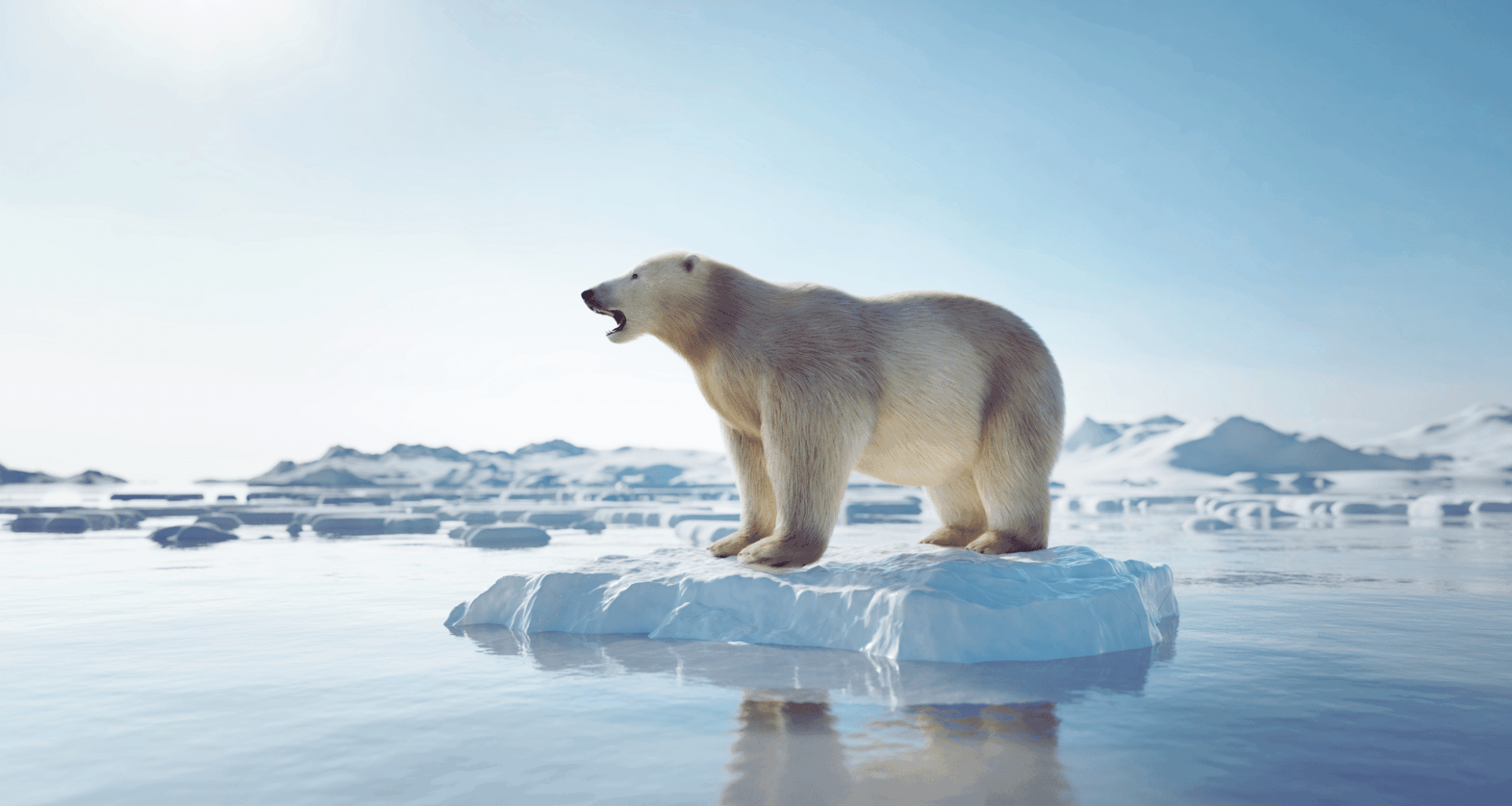 3,000 Glaciers Could Disappear Every Year Scientists Sound The Alarm