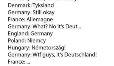Pierre is the only one who's somewhat right; it's Alemanha. The rest (including Hans), are completely wrong!!