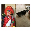 Glenda Jensens Delightful Debut Childrens Book Captures Hearts With Nostalgic Charm, Playful Adventure, and an Exciting Page-to-Screen Animation on the Way