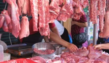 Philippines suspends pork imports from Spain due to African swine fever outbreak