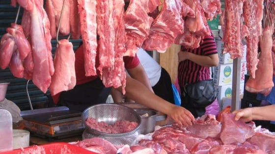 Philippines suspends pork imports from Spain due to African swine fever outbreak
