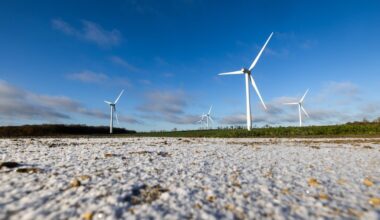 US Gas Market Rallies on Polar Vortex Risks, Europe Dips