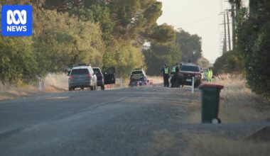 Four killed in Muckatah mini-van crash may have been farm workers, police say