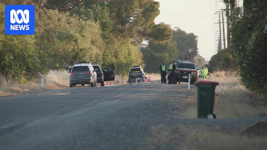Four killed in Muckatah mini-van crash may have been farm workers, police say