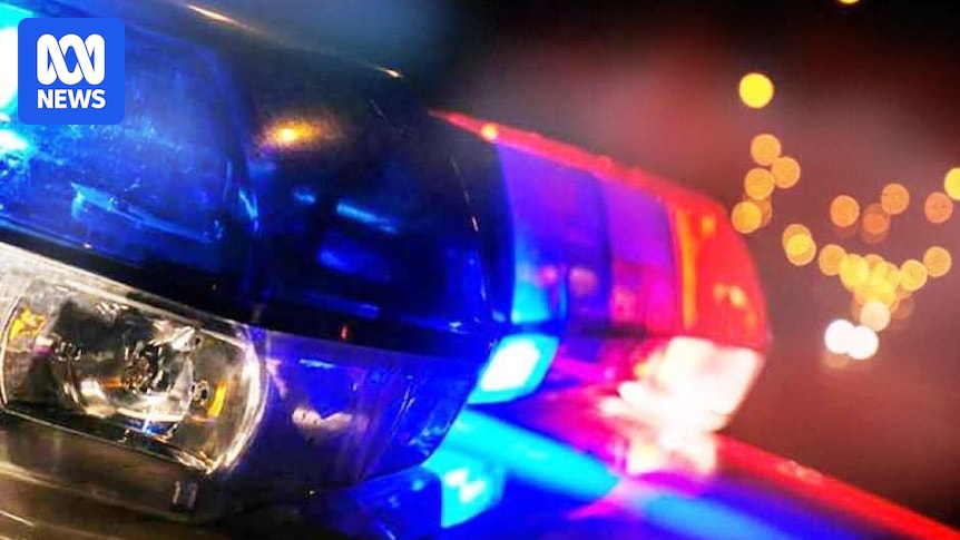 Four dead, five hospitalised after minivan crashes near Victoria–New South Wales border