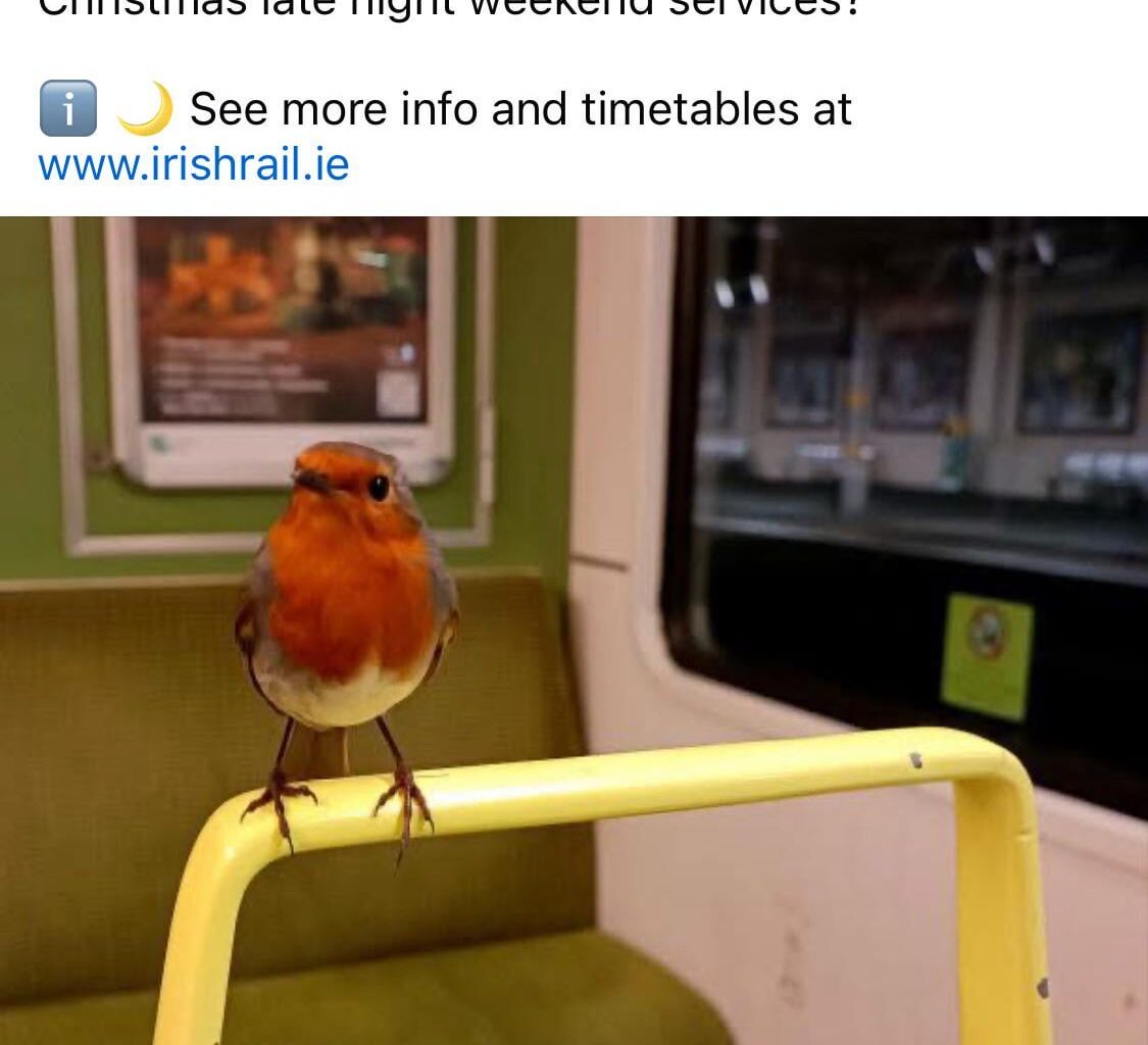 The world of social media is so saddening these days that whenever I see a post like this I cant help but just smile