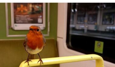 The world of social media is so saddening these days that whenever I see a post like this I cant help but just smile