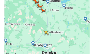 They know what they were doing