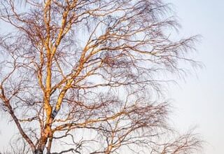 Really nice day today in Helsinki. Plenty of sunshine does the trick❄️☀️