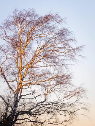 Really nice day today in Helsinki. Plenty of sunshine does the trick❄️☀️
