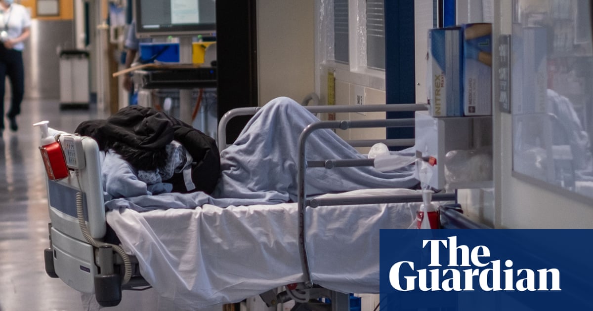 A&Es in ‘big trouble’ because of ‘normalised’ corridor care, says leading UK medic | NHS