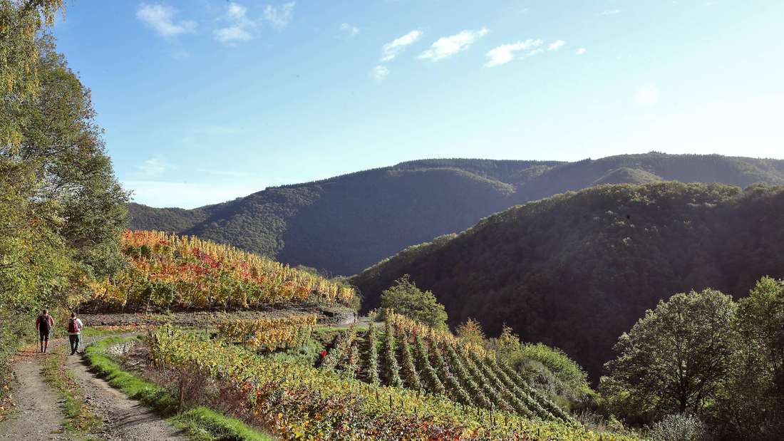 Fast fünf Jahre nach der Flutkatastrophe ist das Ahrtal für die Wandersaison 2026 wieder mit der Bahn zu erreichen.