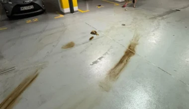 Polska to jednak kraj absurdu: PART... godz. 01:08 - zgłoszenia czytelników