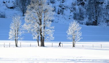 In der Silvesternacht wird's frostig - aber auch weiß