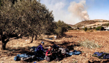 How Lebanon’s ancient olive trees became casualties of Israel-Hezbollah war｜Arab News Japan