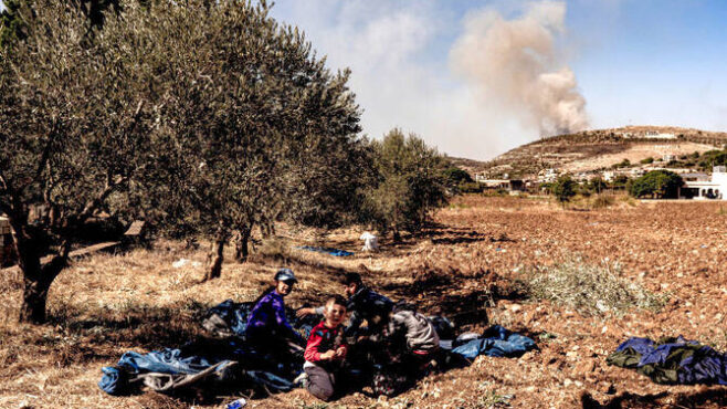 How Lebanon’s ancient olive trees became casualties of Israel-Hezbollah war｜Arab News Japan