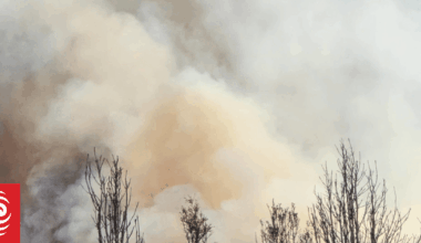 Firefighters battling multiple blazes at Tongariro National Park