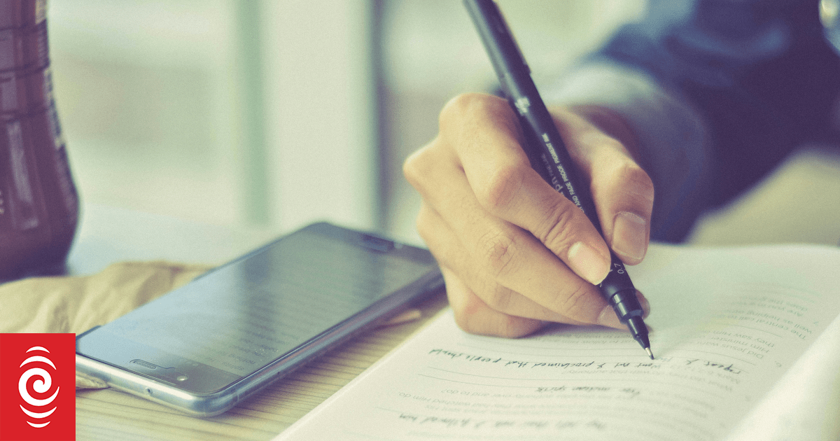 NZ needs more entrepreneurs. Will its new tertiary strategy reward real risk takers?