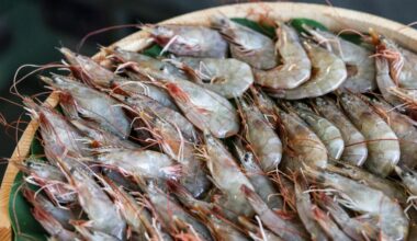 Taiwan eyes fresh diplomatic ties with Honduras