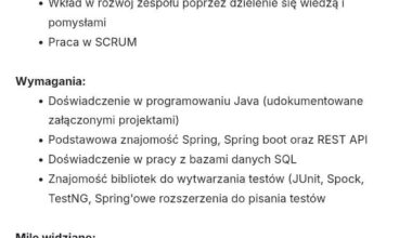 Czy jest coś niżej niż praktyki gdzie można zdobyć doświadczenie?