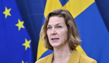 Regeringen vill att rätten till abort grundlagsskyddas