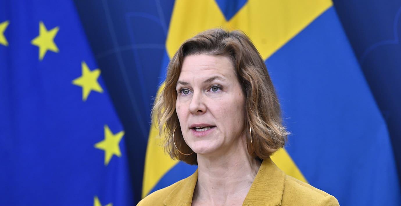 Regeringen vill att rätten till abort grundlagsskyddas