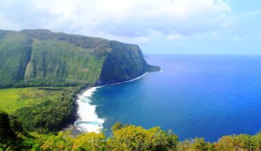 Japanese tourist dies after diving into sea in Hawaii