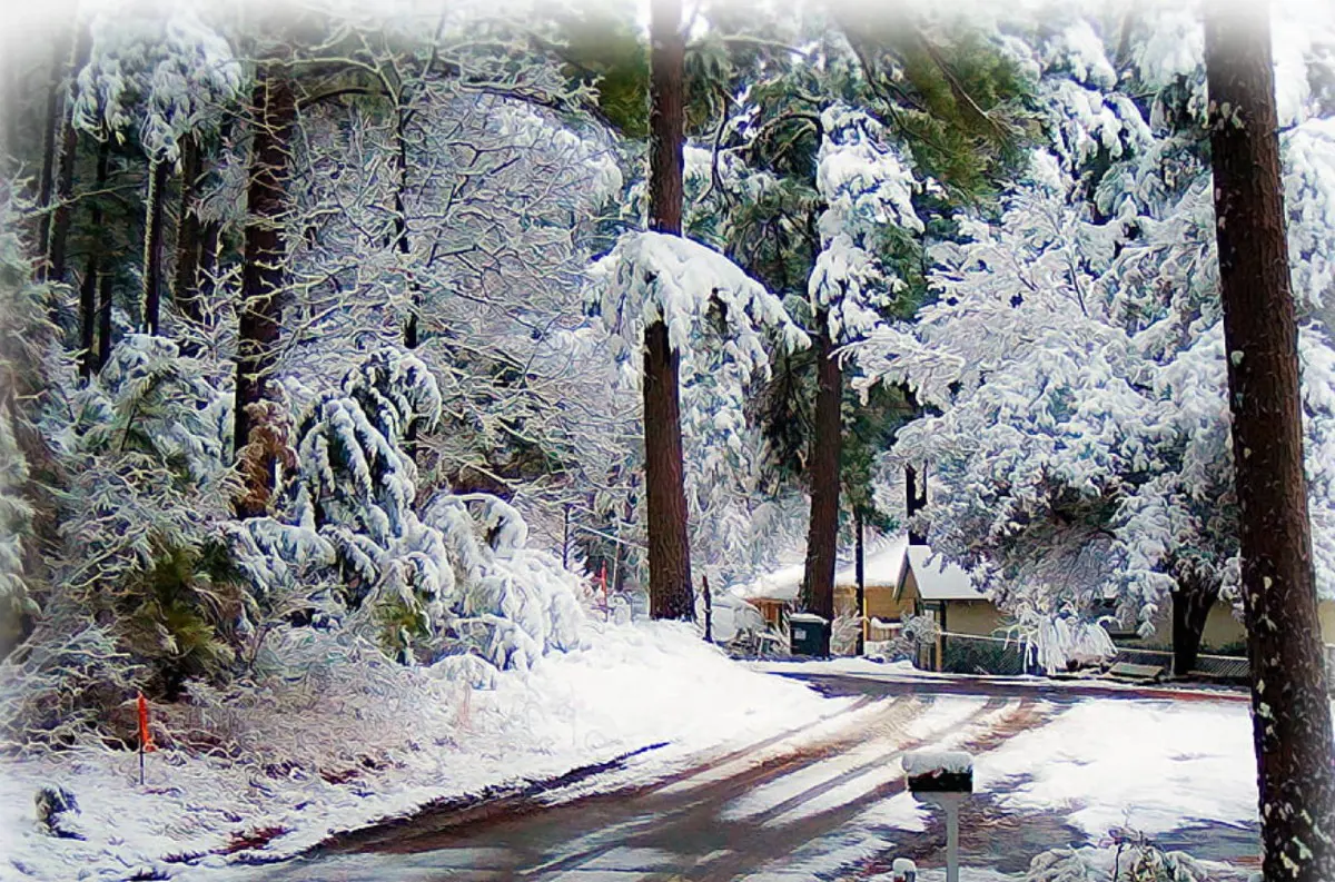 Snehová lavína sa blíži! Slovensko čakajú 3 vlny sneženia, bielu zimu pocítime aj v nížinách