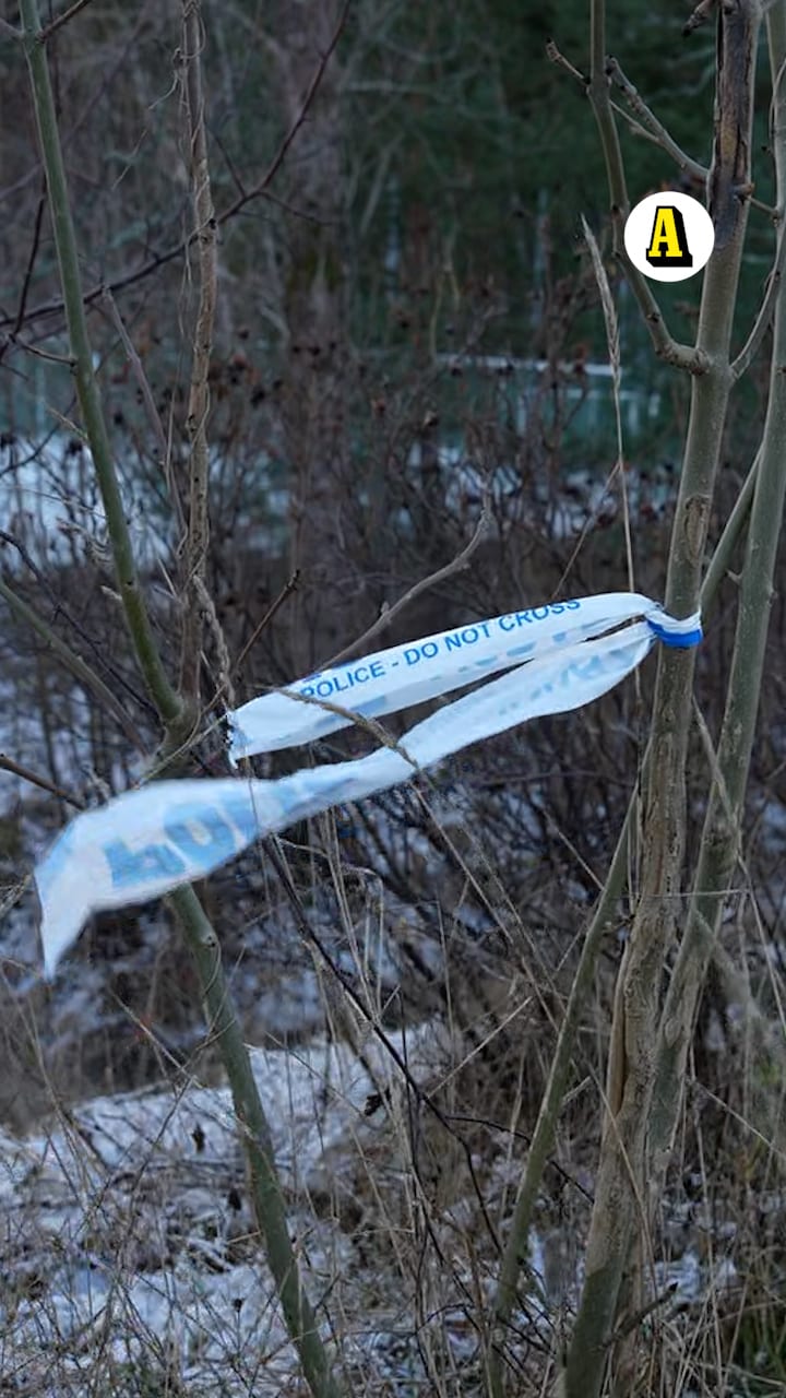 Kvinna i 25-årsåldern försvunnen – polisen gått ut med en efterlysning