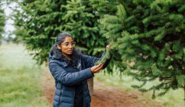 Oregon Grows More Christmas Trees Than Other States. Climate Researchers Want to Keep it That Way