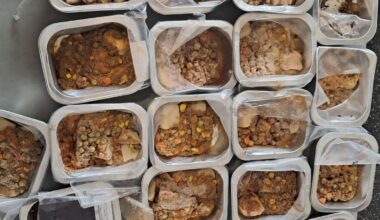 Haeata school disputes suggestion mouldy lunches were old ones accidentally re-served