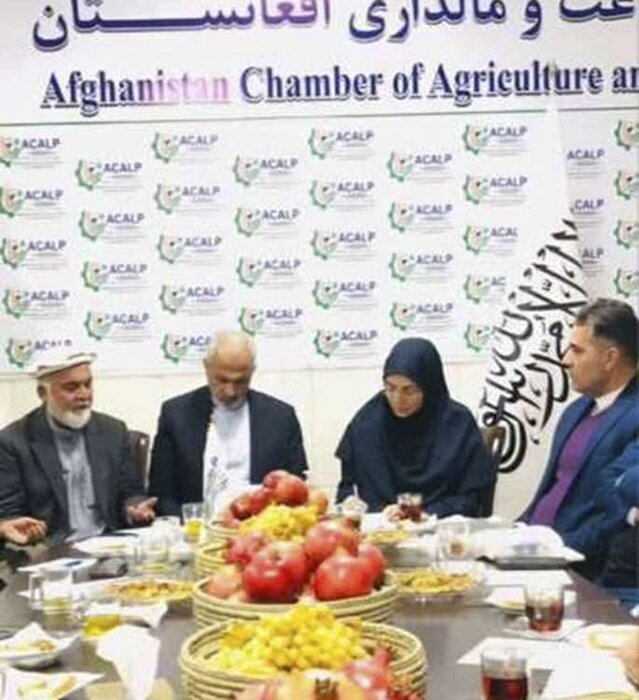 Iran-Afghanistan co-op in animal quarantine, phytosanitary being strengthened
