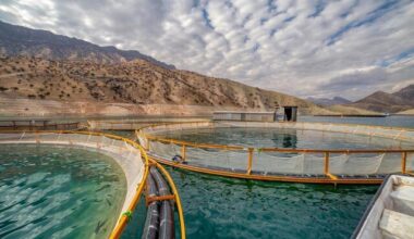 Tehran hosting 9th intl. fisheries industry exhibition