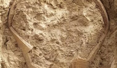 Sasanian-era pottery jar discovered in southern Iran