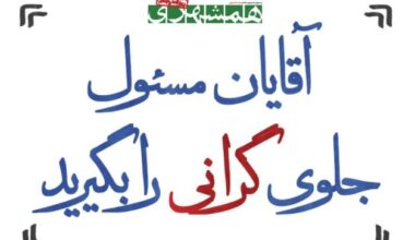 Silent veto - Tehran Times