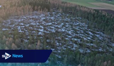 Damage from storms Arwen and Corrie will take years to clear, says National Trust for Scotland