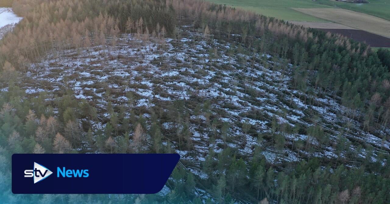 Damage from storms Arwen and Corrie will take years to clear, says National Trust for Scotland