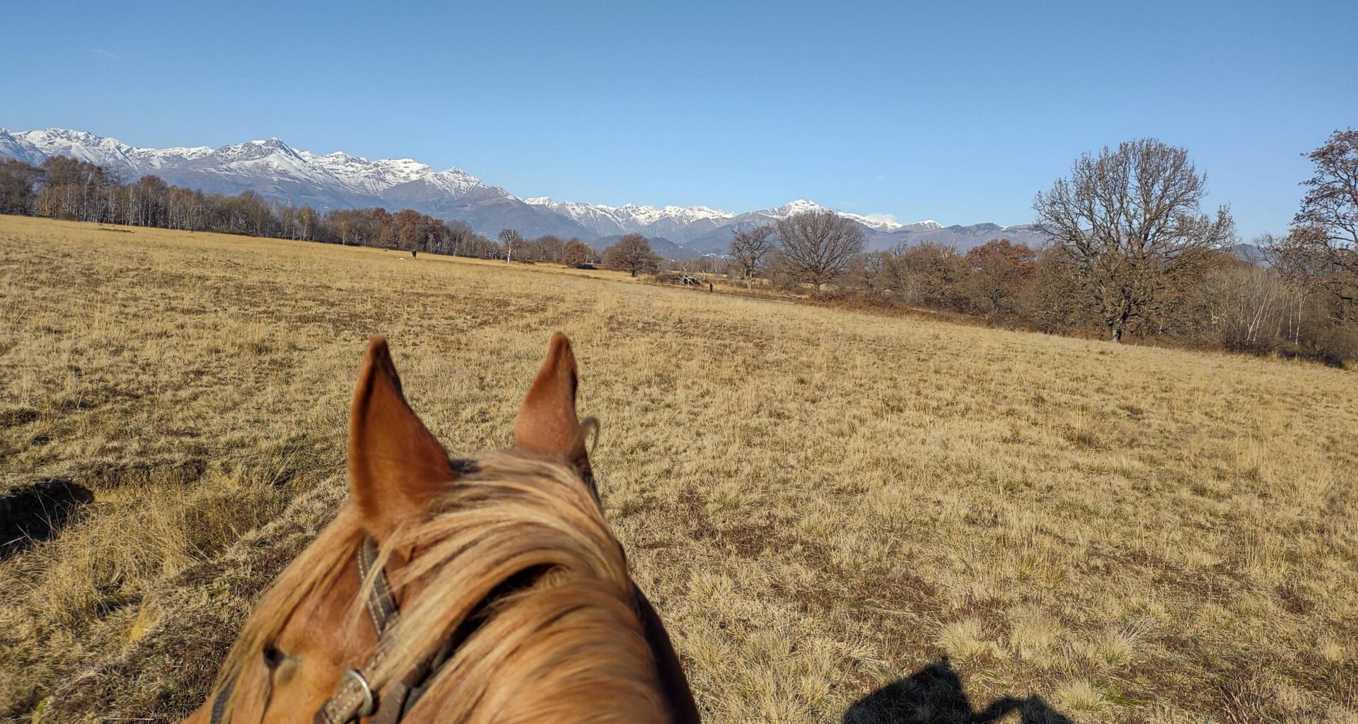 Caffè Italia * 21/12/25