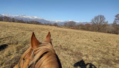 Caffè Italia * 21/12/25