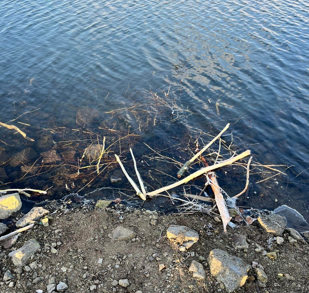 Geschenk angenommen aber nichtmal Danke gesagt...