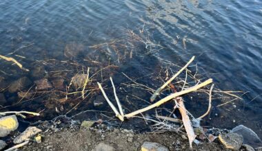 Geschenk angenommen aber nichtmal Danke gesagt...