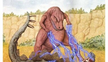 So und nicht anders!