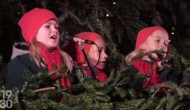 Le sapin de Noël chantant, une attraction populaire en ville de Zurich