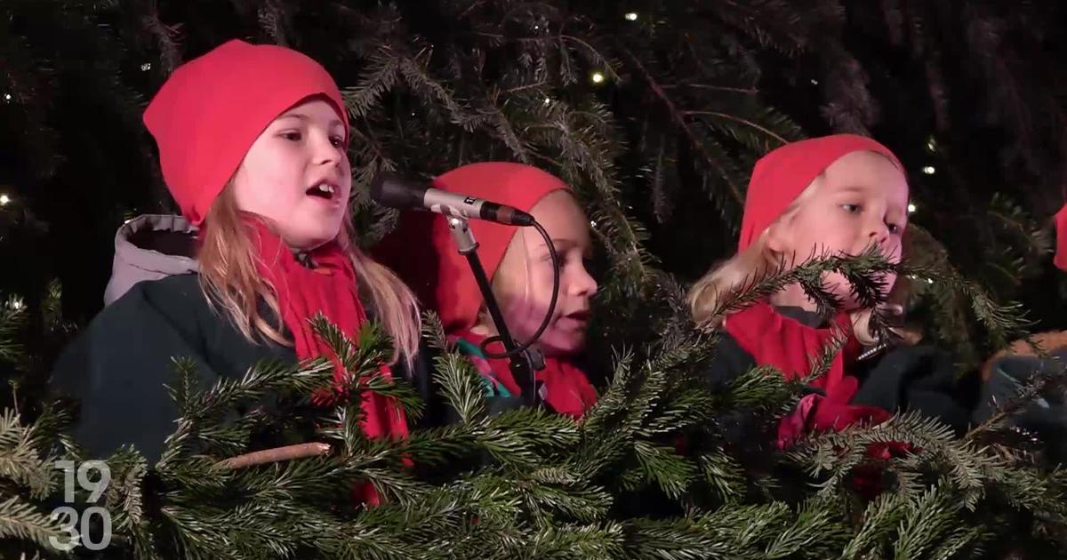 Le sapin de Noël chantant, une attraction populaire en ville de Zurich