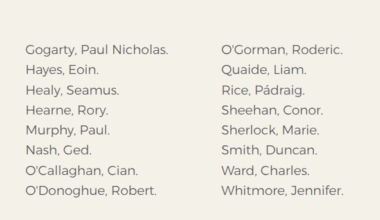 The 24 TDs who voted to ban fox hunting