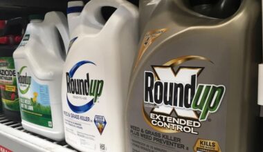Trump admin backs Monsanto effort to limit Roundup lawsuits over glyphosate