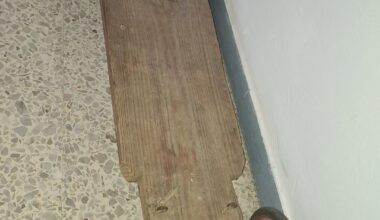 Antiguo juguete a identificar