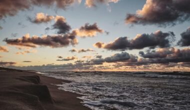 Nidos saulėlydis. 2025-12-27