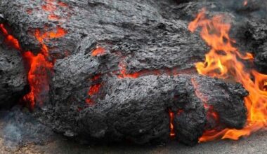 Discover how University of Arizona team studies life on fresh Iceland lava | Local News