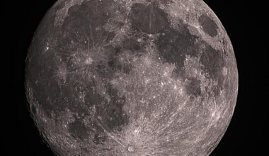 Moon from the garden